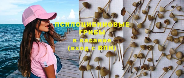 гидропоника Болотное