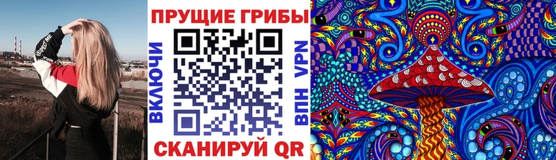 Галлюциногенные грибы MAGIC MUSHROOMS Болохово