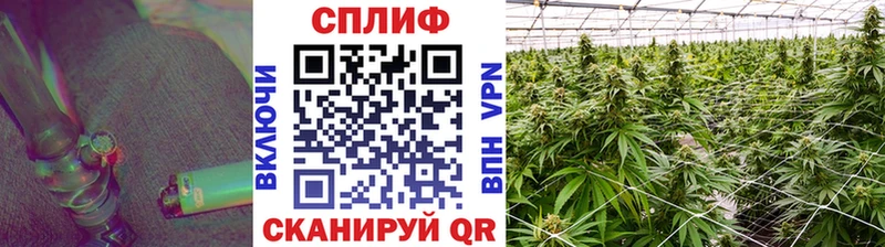 Шишки марихуана OG Kush Болохово